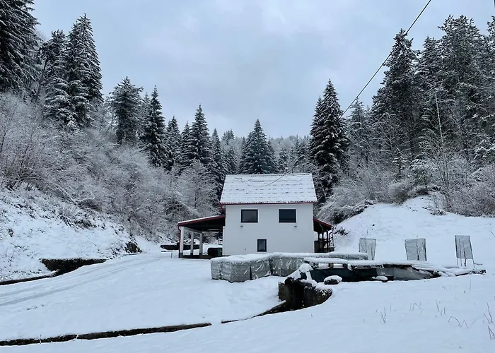 Wood House *